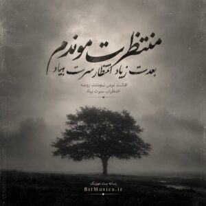  دانلود آهنگ منتظرت موندم بعدت زیاد انتظار سرت بیاد